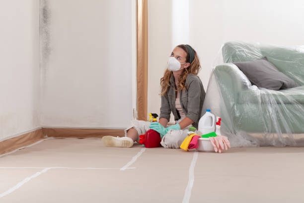Reliable Mold Remediation contractor in Woodward, PA by Cheap Mold Removal
